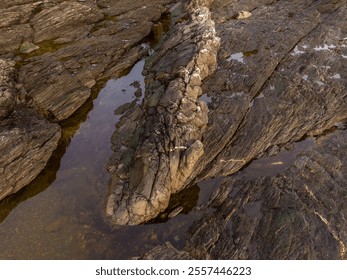 A rugged coastal rock formation with a serene tide pool, showcasing natural textures and marine beauty along the West Coast of Vancouver Island, British Columbia. - Powered by Shutterstock