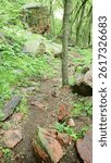 A rugged forest path winds over red quartzite rocks and through thick greenery in Blue Mound State Park, Minnesota.