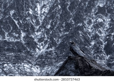 Rugged glacier surface with dark pyramidal peak rising from the icy landscape
