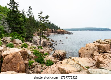 Rugged Granite Rocks And Lush Green Trees Line The Maine Coast In Acadia National Park.