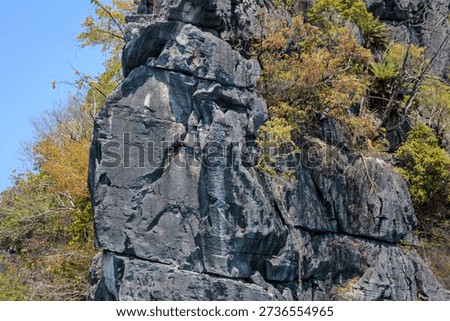 Rugged Limestone Rock Formations with Sparse Tropical Vegetation