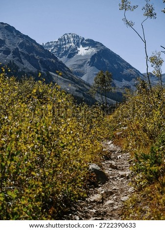 A rugged mountain rises majestically in the background, framed by lush, green foliage. A narrow trail leads through the vibrant foliage, beckoning adventurers forward.