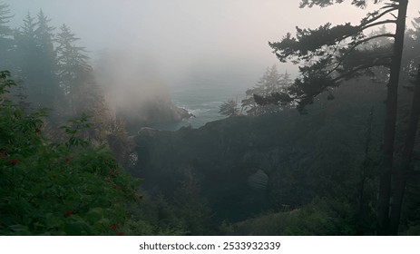 The rugged Oregon Coast, USA. The scene shows towering trees shrouded in fog, with coastal cliffs and an arch-shaped rock formation. - Powered by Shutterstock