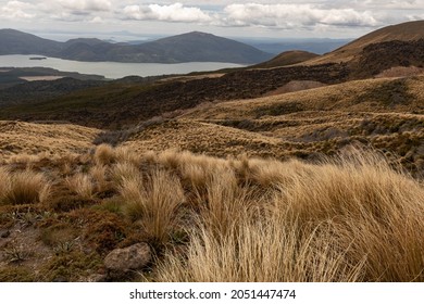 Rugged Path Through The Tongariro Alpine Crossing (Middle Earth)