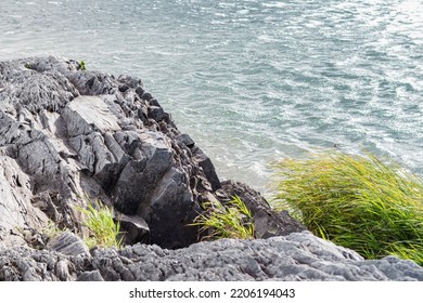 Rugged Rock Cliff With Green Weeds Or Sedge Summer Sunny Landscape Stormy Azure River Background With Copy Space. Beautiful Nature. Travel And Camping Concept