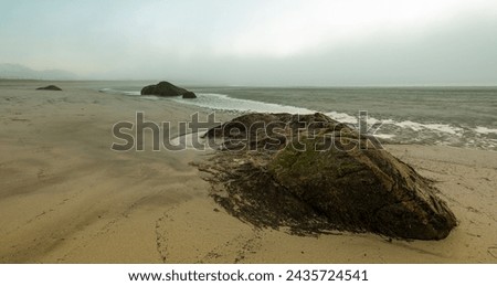 Rugged rock on sandy beach