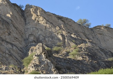 Rugged rocky cliffside featuring sparse green shrubs under a clear blue sky, perfect for geological and natural themes.