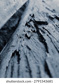Rugged and rustic texture of decomposed wood timber in cool moody lighting