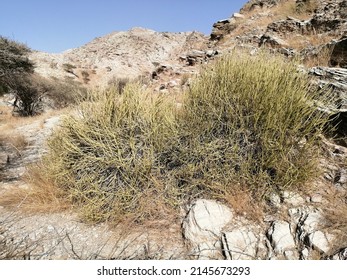 Rugged terrain in a rocky desert wadi (dry ravine) in the Hajar Mountains range in Fujairah emirate, United Arab Emirates. Inhospitable Arabian Gulf desert concept.