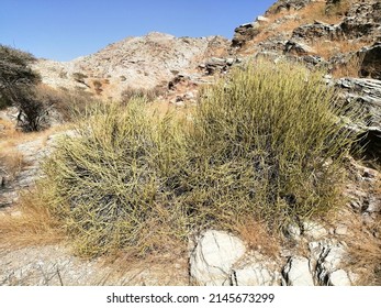 Rugged terrain in a rocky desert wadi (dry ravine) in the Hajar Mountains range in Fujairah emirate, United Arab Emirates. Inhospitable Arabian Gulf desert concept.