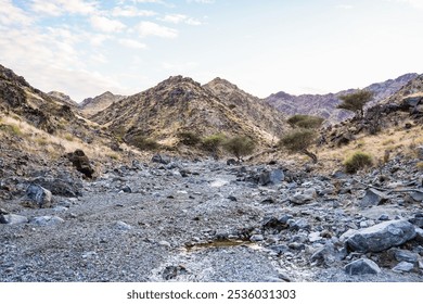 The rugged terrain of the United Arab Emirates showcases dramatic mountains and rocky landscapes. Gravel roads and wadis. - Powered by Shutterstock