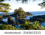 Rugged West Coast Ucluelet British Columbia Canada Amphitrite Point