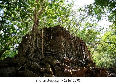 Ruin Of Beng Mealea