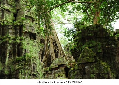 Jungle Temple High Res Stock Images Shutterstock