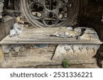 Ruin of Villers Abbey former Cistercian abbey located in Belgium