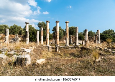 Ruined columns of Ionic double colonnade stoa in Agora market place area of Nysa ancient city in Aydin province of Turkey. The agora was a wide market place spreading 113.5m in the east-west direction