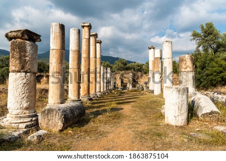 Ruined columns of Ionic double colonnade stoa in Agora market place area of Nysa ancient city in Aydin province of Turkey. The agora was a wide market place spreading 113.5m in the east-west direction
