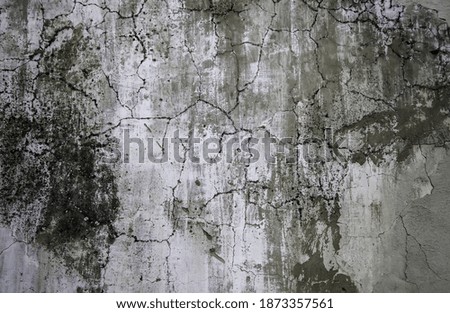 Similar – Image, Stock Photo Passage with time Ruin