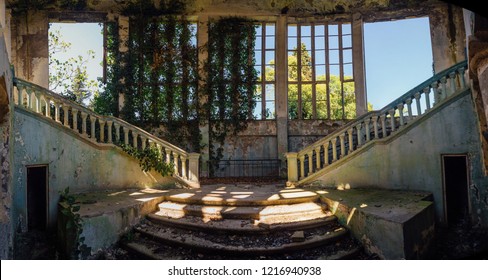 Ruined Mansion Interior Overgrown By Plants Overgrown By Ivy Windows And Old Staircase. Nature And Abandoned Architecture, Green Post-apocalyptic Concept.