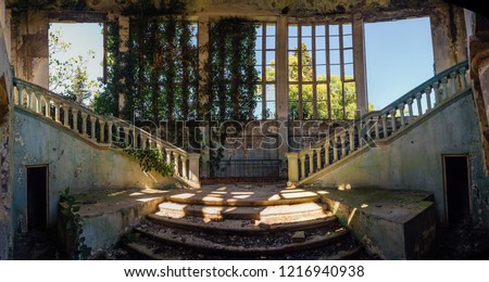 Ruined mansion interior overgrown by plants Overgrown by ivy windows and old staircase. Nature and abandoned architecture, green post-apocalyptic concept.