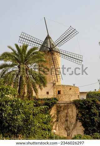 Ruined windmill on a ruined farm in the countryside in Spain in the fall. Classic Mallorca Island rural landscape an old mill and green palm tree. An old windmill in the countryside in the valley