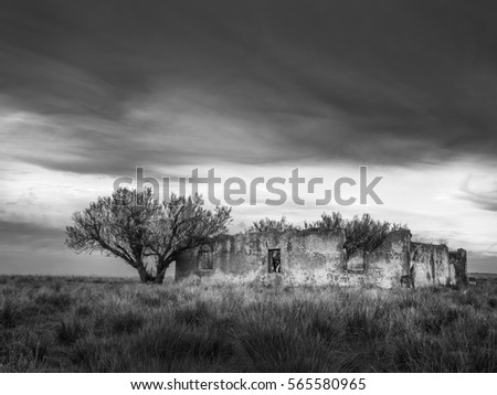 Similar – Image, Stock Photo Scottish stone house at the edge of the forest