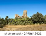 The ruins of an ancient Byzantine fortress, the settlement of Gorchine, Tunisia.

