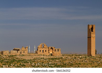 Ruins of the ancient city of Harran in upper Mesopotamia, near the province of Sanliurfa in Turkey.