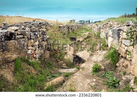 Ruins of the ancient city of Hierapolis - Türkiye