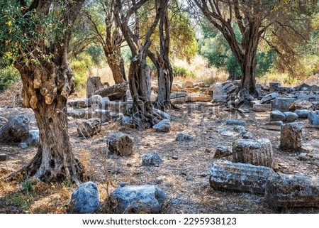 The ruins of the ancient city on the island of Cleopatra and bizarre trees, Sedir island, Aegean Sea, Marmaris, Turkey
