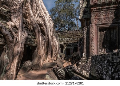 Ruins Of Ancient Khmer Temple With Giant Tree Roots Growing Through It, Angkor Complex, Siem Reap, Cambodia