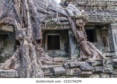 Ruins Of Ancient Khmer Temple With Giant Tree Roots Growing Through It, Angkor Complex, Siem Reap, Cambodia