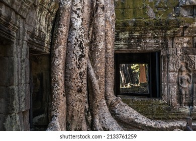 Ruins Of Ancient Khmer Temple With Giant Tree Roots Growing Through It, Angkor Complex, Siem Reap, Cambodia