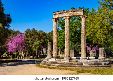 The ruins of Ancient Olympia with blooming cercis tree. Greece.