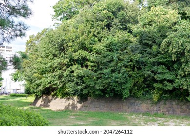 Ruins Of Arioka Castle In Itami, Hyogo, Japan