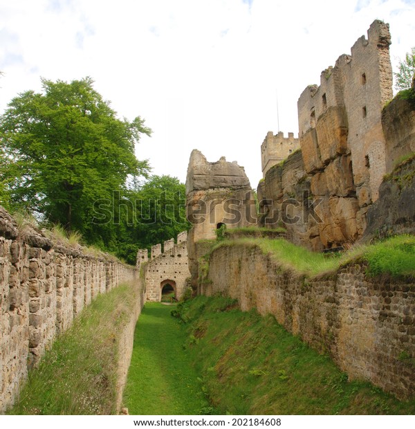 Ruins Castle Helfenburk U Czech Republic Buildings Landmarks Stock Image