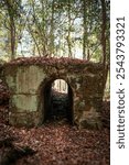 Ruins of cement structure from a nitrogen production facility built in South Carolina during the early twentieth century