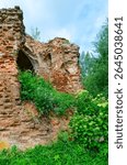 Ruins of Church of St. Peter and Paul in village of Vyshov, Mogilev region, Belarus. Summer rural landscape. Arched opening overgrown with grass