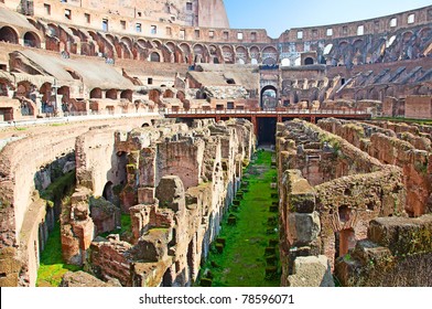 Ruins Of The Colloseum In Rome, Italy