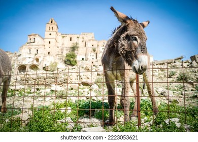 Ruins Of Craco - Italy