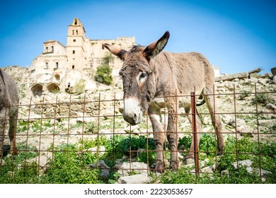 Ruins Of Craco - Italy