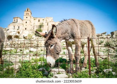 Ruins Of Craco - Italy