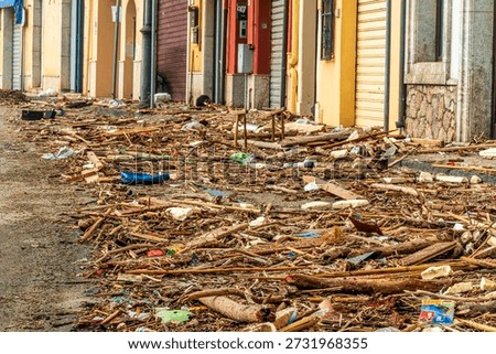 ruins and distructions cousea by a devastating typhoon on a sea coast. wreckage and wastes near sea shore. elimination of the damage and distructions caused by the hurricane to the coast