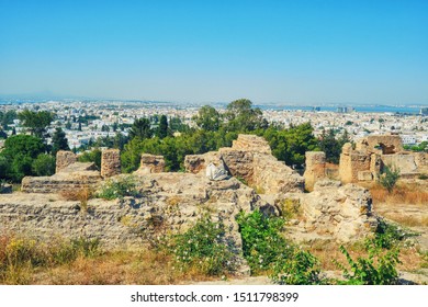 The Ruins Of Hannibal's House In Carthage - Carthaginian Commander Of The Punic Wars With Rome.