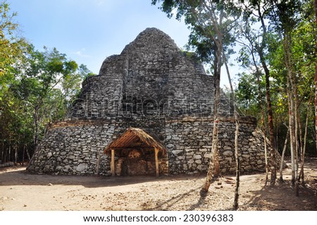 Ruins of Mayan pyramid at jungles . Coba. Mexico