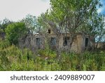 the ruins of an old abandoned house overgrown with bushes. abandoned house