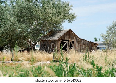 Bilder Stockfoton Och Vektorer Med Utah Barns Shutterstock