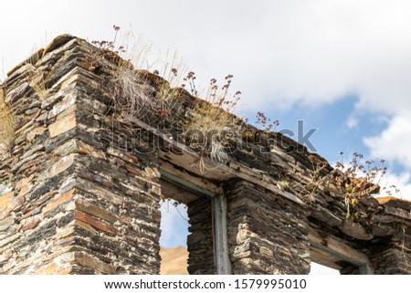 Image, Stock Photo Room with a view Plant