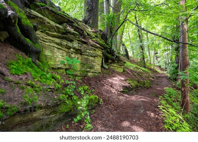 The ruins of Ryzmburk Castle in Babiccino Valley near Ratiborice, Czech Republic, captivate visitors with its historic charm atop a cliff overlooking the Upa River. - Powered by Shutterstock