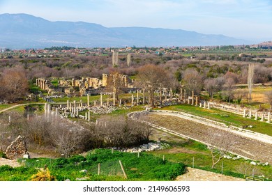 Ruins of South Agora with unique huge pool surrounded by Ionic colonnades amidst park in ancient Hellenistic city of Aphrodisias, Aydin province, Turkey